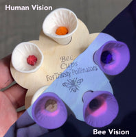Bee Cups - White Bee Vision 5 Pack